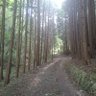 Profilbild von ちむぴらっぺ