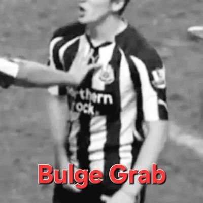 Bulge Grab's profile picture