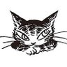 Straycat 88's profile picture