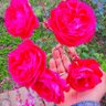 Фото профиля Waseem.Akram