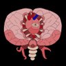Yocchan🦑(♂)/酢烏賊 profil fotoğrafı