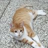 翔 profil fotoğrafı