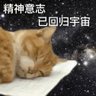 雾三三's profile picture