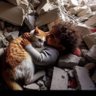 uyymnc 🇹🇷🇵🇸 profil fotoğrafı
