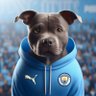 PureCity profil fotoğrafı