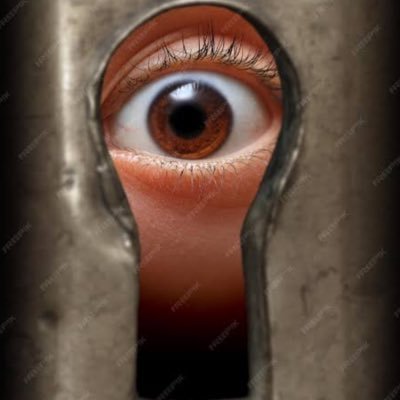 SPYBR's profile picture