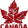Canucksportsgirl 的头像