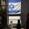 AM 🇮🇱 的头像