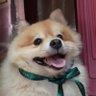 nodnod's profile picture