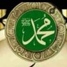 oly mahmoud's profile picture