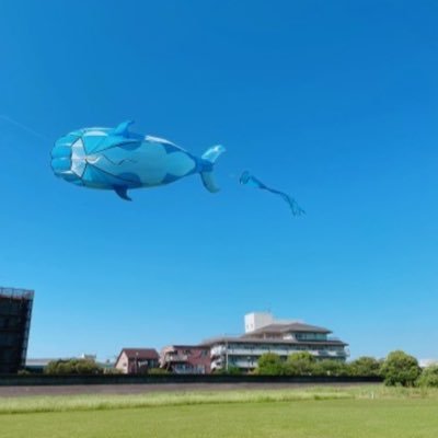 eiennikoukousei's profile picture