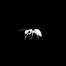 Juliana ๐ญ๐น๐๐ฉ๐'s profile picture