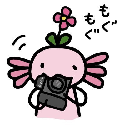 kyon_K4's profile picture