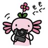 Profilbild von Kyohei 写真作家