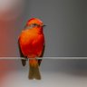 Kitaign profil fotoğrafı
