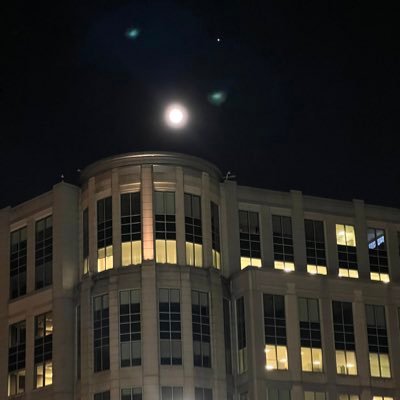 GDot46341885's profile picture
