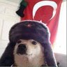 Oğuzhan 的头像