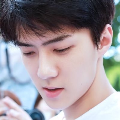 🕊's profile picture
