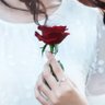 バチェ垢🌹砂肝 的头像