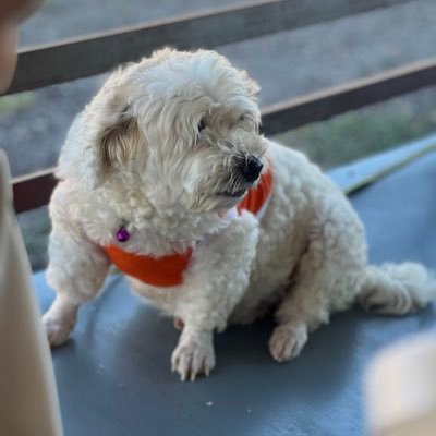 cccxx109's profile picture