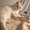 tiny's profile picture
