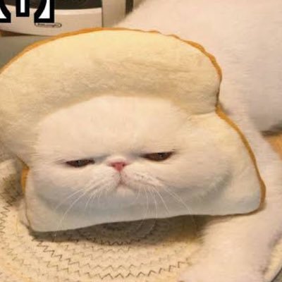 Kimチ's profile picture