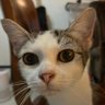 MMILife's profile picture
