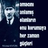 Ali Kahveci 的头像