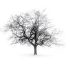 Niente di Niente!'s profile picture