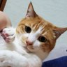 Profilbild von おいのすけ