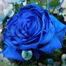 Mエムコ3B 的头像