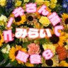 mirai's profile picture