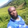 Profilbild von Earl of Honde Valley