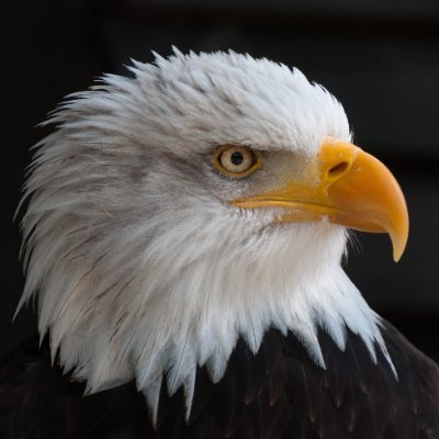 Aryan's profile picture
