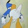 ããã£ãŽÎ±å€äŒ's profile picture