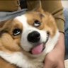 Question、's profile picture