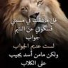 بحر العرب 的头像