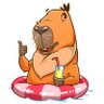 CapivaraDeCrocs's profile picture