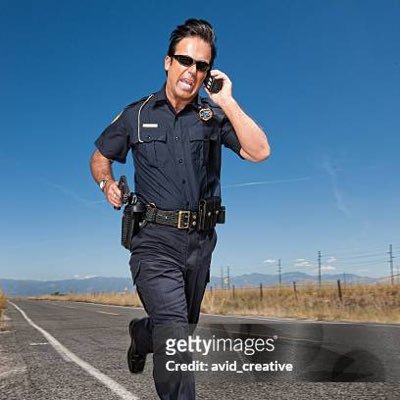 Best Police Chases 🚨🚔's profile picture