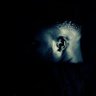 SARKODIE's profile picture