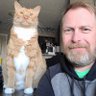 Profilbild von Ken McLellan