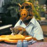Salimo's profile picture