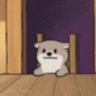 阿恺's profile picture