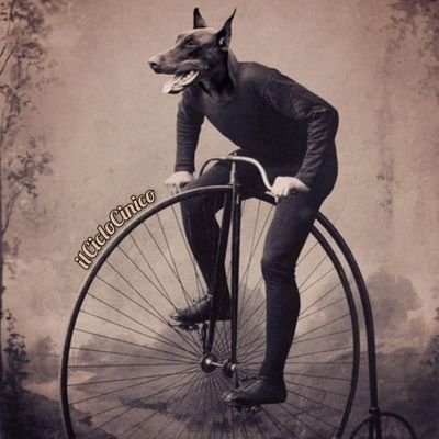 ciclocinico's profile picture