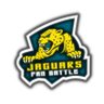 Jaguars Fan Battle profil fotoğrafı