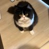 えぴたふ profil fotoğrafı