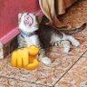 Tilo✨'s profile picture
