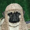Bob's profile picture