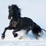 Фото профиля Abang