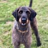 Suaerp profil fotoğrafı